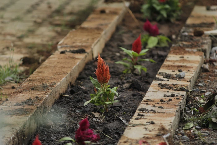 Landscaper working on a garden feature