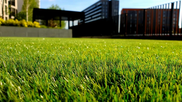 Manicured lawn and garden landscaping
