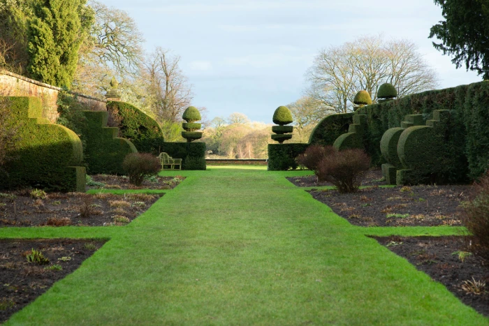 Lawn Care