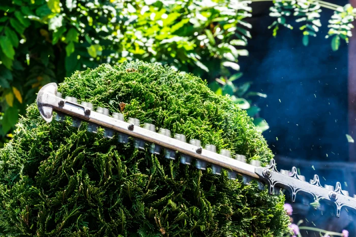 Garden Maintenance